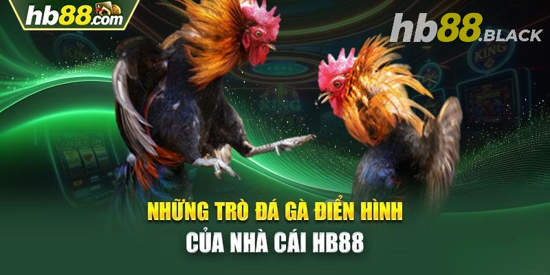 Đá Gà HB88 - Cơ Hội Chiêm Ngưỡng Những Cú Đá "Dũng Mãnh"